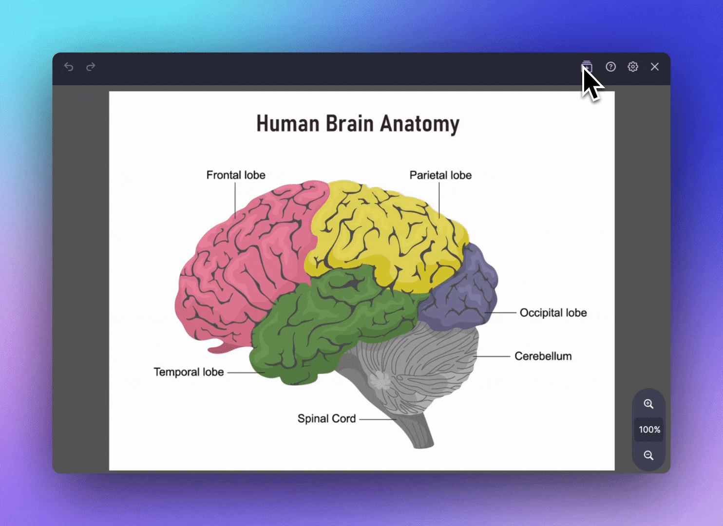 Image occlusion creating flashcards by hiding parts of diagrams