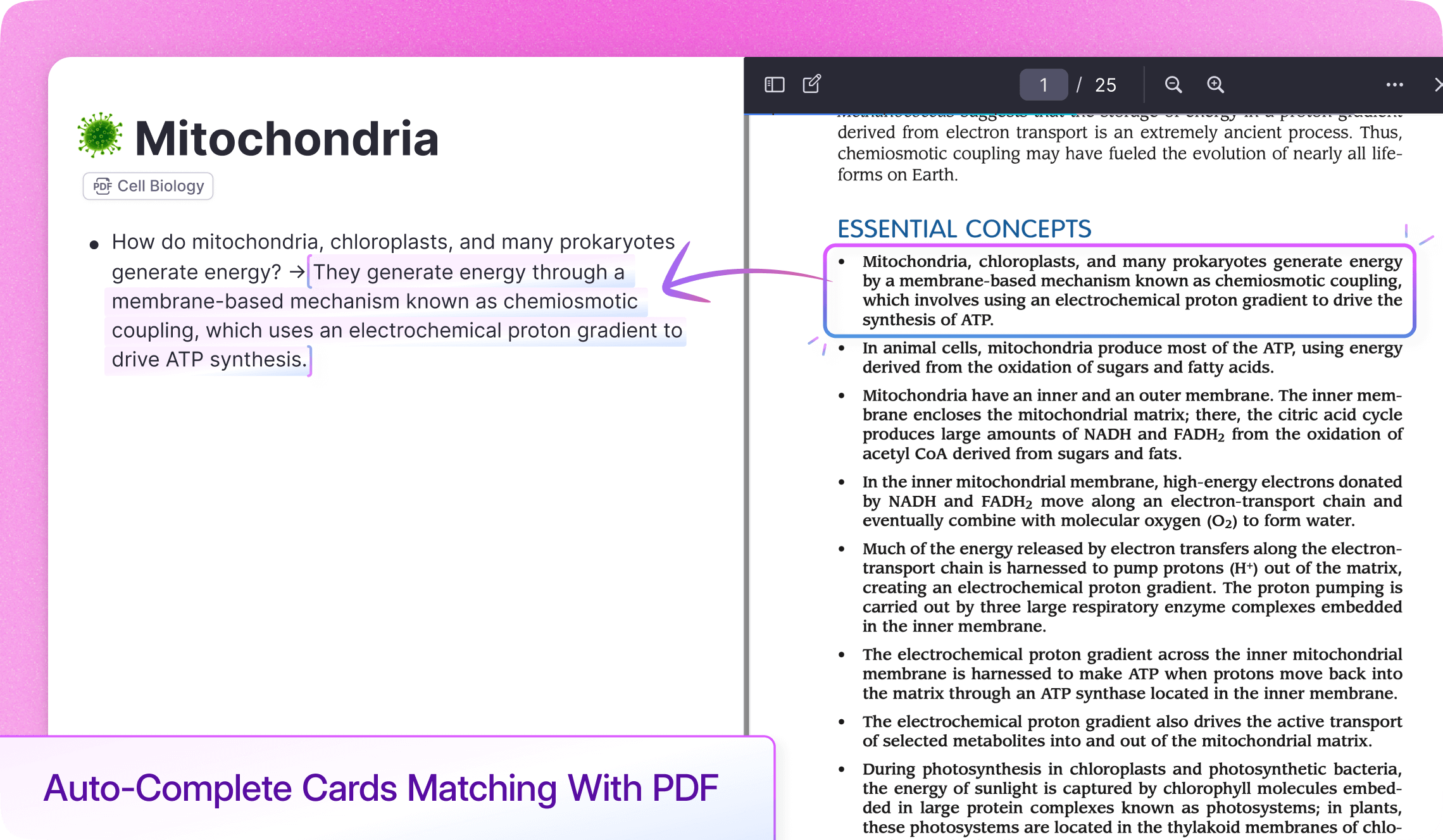 AI chat interface answering questions about PDF content